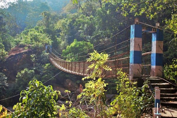 Kakoli Biswas Ea7mjbx Omw Unsplash