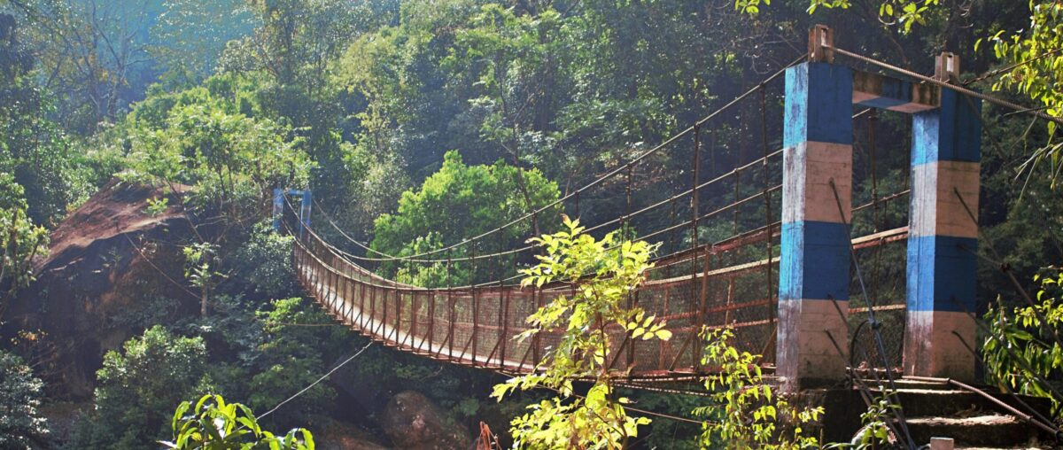 A swing bridge in the middle of a dense jungle forest