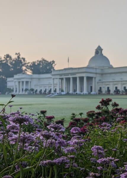 India Gate monument with purple flowers in foreground at sunset.